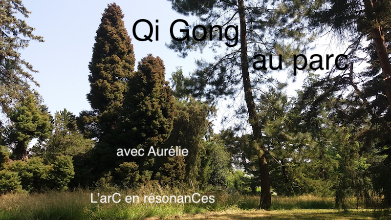 Affiche de cours de Qi Gong au parc à Geneve